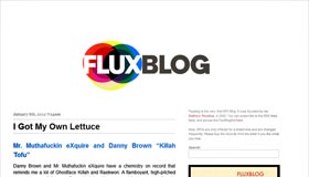 Fluxblog