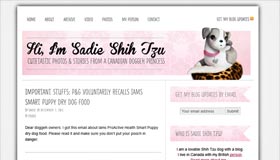 Sadie Shih Tzu