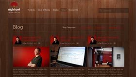 Night Owl Interactive