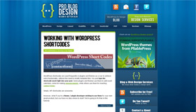 Pro Blog Design